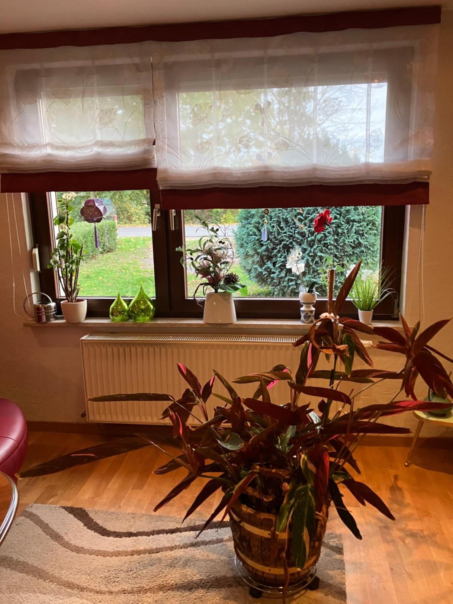Apartment Elb- Havel